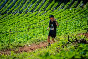 BIB: 1840
                            <button type="button" onclick="openModal(19162742)" class="btn btn-primary btn-sm float-right btn-popup" data-toggle="modal" data-target=".modal-high-quality">
                        <i class="fas fa-shopping-cart"></i> Add to Cart
                    </button>
                                            <button type="button" onclick="isThisMe(19162742, true)" class="btn btn-success btn-sm float-right btn-popup btn-isme hidden" data-toggle="tooltip" data-placement="bottom" title="นี่คือรูปของคุณใช่ไหม คลิกที่นี่เพื่อเอาเข้าอัลบั้ม">
                        <i class="fas fa-plus"></i> Add to album
                    </button>
                    <button type="button" onclick="isThisMe(19162742, false)" class="btn btn-warning btn-sm float-right btn-popup btn-isnotme hidden">
                        <i class="fas fa-ban"></i> Remove from album
                    </button>